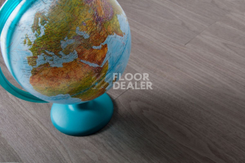IVC Ultimo (Сlick) IVC Ultimo 28843N фото 4 | FLOORDEALER